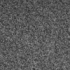 Grey Carpet